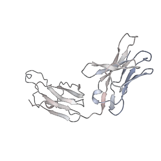 32553_7wjz_C_v1-1
Omicron Spike bitrimer with 6m6 antibody