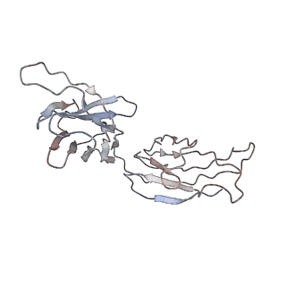32553_7wjz_D_v1-1
Omicron Spike bitrimer with 6m6 antibody
