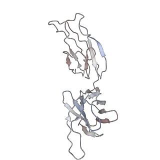 32553_7wjz_E_v1-1
Omicron Spike bitrimer with 6m6 antibody