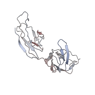 32553_7wjz_F_v1-1
Omicron Spike bitrimer with 6m6 antibody