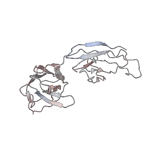 32553_7wjz_G_v1-1
Omicron Spike bitrimer with 6m6 antibody