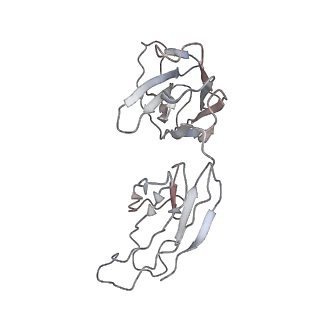32553_7wjz_H_v1-1
Omicron Spike bitrimer with 6m6 antibody