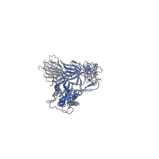 32553_7wjz_I_v1-1
Omicron Spike bitrimer with 6m6 antibody