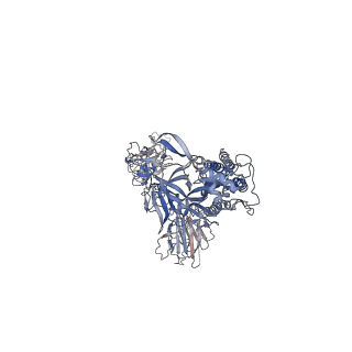 32553_7wjz_J_v1-1
Omicron Spike bitrimer with 6m6 antibody