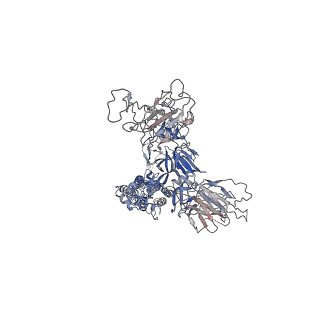 32553_7wjz_K_v1-1
Omicron Spike bitrimer with 6m6 antibody