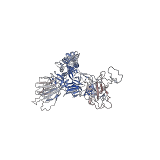 32553_7wjz_L_v1-1
Omicron Spike bitrimer with 6m6 antibody