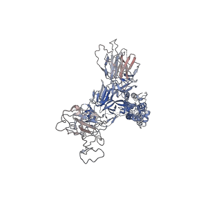 32553_7wjz_M_v1-1
Omicron Spike bitrimer with 6m6 antibody