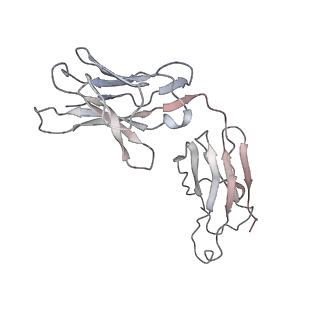 32553_7wjz_N_v1-1
Omicron Spike bitrimer with 6m6 antibody
