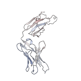 32553_7wjz_O_v1-1
Omicron Spike bitrimer with 6m6 antibody