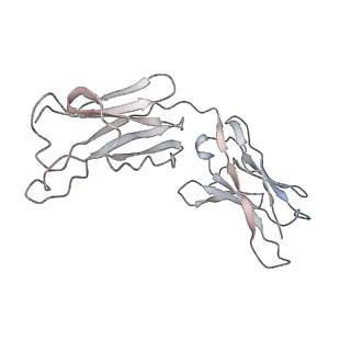 32553_7wjz_P_v1-1
Omicron Spike bitrimer with 6m6 antibody