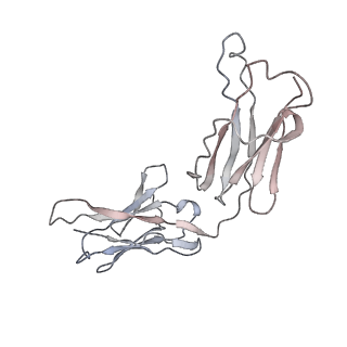 32553_7wjz_Q_v1-1
Omicron Spike bitrimer with 6m6 antibody