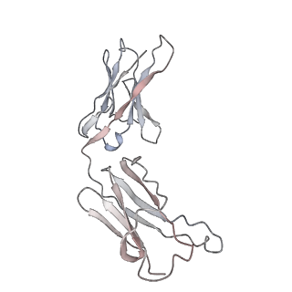 32553_7wjz_R_v1-1
Omicron Spike bitrimer with 6m6 antibody