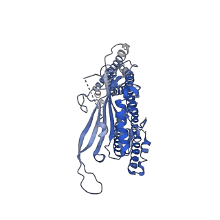 8841_5wj9_C_v1-5
Human TRPML1 channel structure in agonist-bound open conformation