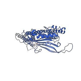 8841_5wj9_D_v1-5
Human TRPML1 channel structure in agonist-bound open conformation