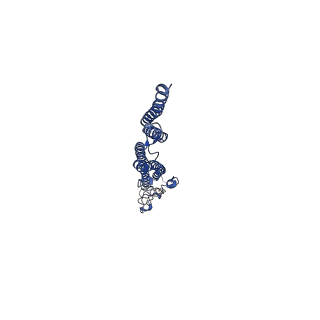 8847_5wjt_A_v1-3
Cryo-EM structure of B. subtilis flagellar filaments N226Y