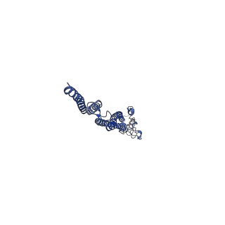 8847_5wjt_B_v1-3
Cryo-EM structure of B. subtilis flagellar filaments N226Y