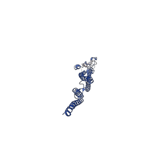 8847_5wjt_G_v1-2
Cryo-EM structure of B. subtilis flagellar filaments N226Y