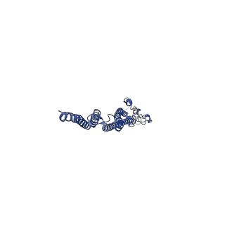 8847_5wjt_I_v1-3
Cryo-EM structure of B. subtilis flagellar filaments N226Y