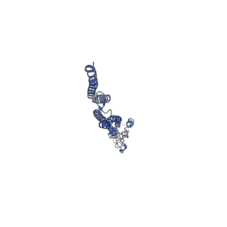 8847_5wjt_K_v1-2
Cryo-EM structure of B. subtilis flagellar filaments N226Y