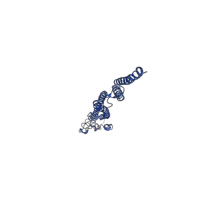 8847_5wjt_M_v1-2
Cryo-EM structure of B. subtilis flagellar filaments N226Y