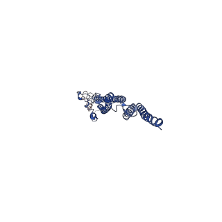 8847_5wjt_O_v1-3
Cryo-EM structure of B. subtilis flagellar filaments N226Y