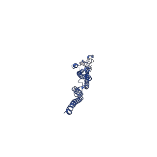 8847_5wjt_P_v1-2
Cryo-EM structure of B. subtilis flagellar filaments N226Y