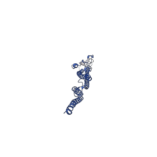 8847_5wjt_P_v1-3
Cryo-EM structure of B. subtilis flagellar filaments N226Y