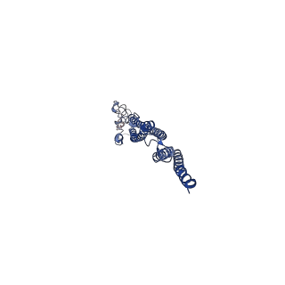 8847_5wjt_R_v1-2
Cryo-EM structure of B. subtilis flagellar filaments N226Y