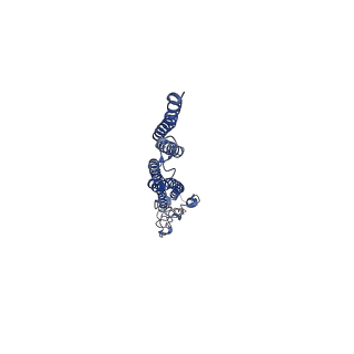 8847_5wjt_V_v1-2
Cryo-EM structure of B. subtilis flagellar filaments N226Y