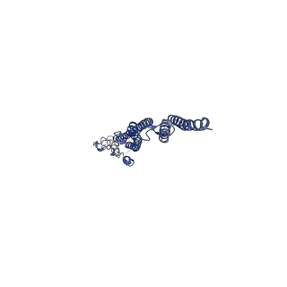 8847_5wjt_Y_v1-3
Cryo-EM structure of B. subtilis flagellar filaments N226Y