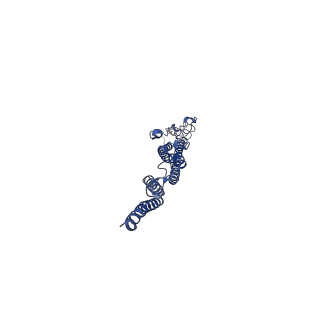 8847_5wjt_c_v1-3
Cryo-EM structure of B. subtilis flagellar filaments N226Y