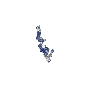 8847_5wjt_g_v1-3
Cryo-EM structure of B. subtilis flagellar filaments N226Y