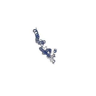 8847_5wjt_h_v1-2
Cryo-EM structure of B. subtilis flagellar filaments N226Y
