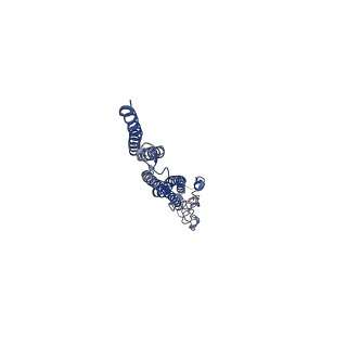 8847_5wjt_h_v1-3
Cryo-EM structure of B. subtilis flagellar filaments N226Y