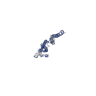 8847_5wjt_i_v1-3
Cryo-EM structure of B. subtilis flagellar filaments N226Y