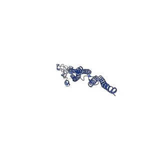 8847_5wjt_k_v1-3
Cryo-EM structure of B. subtilis flagellar filaments N226Y