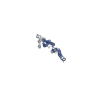 8847_5wjt_n_v1-3
Cryo-EM structure of B. subtilis flagellar filaments N226Y