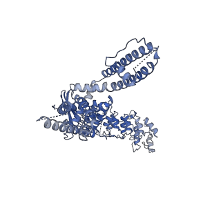 21705_6wkn_A_v1-2
PL-bound rat TRPV2 in nanodiscs