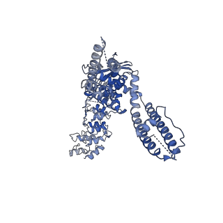 21705_6wkn_B_v1-2
PL-bound rat TRPV2 in nanodiscs