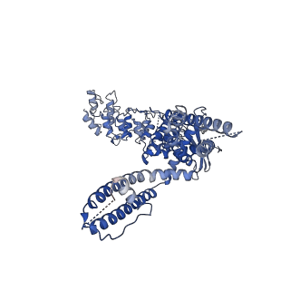 21705_6wkn_C_v1-1
PL-bound rat TRPV2 in nanodiscs