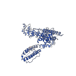 21705_6wkn_C_v1-2
PL-bound rat TRPV2 in nanodiscs