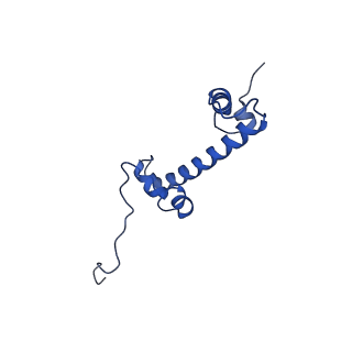 21707_6wkr_K_v1-0
PRC2-AEBP2-JARID2 bound to H2AK119ub1 nucleosome