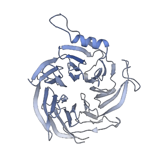 21707_6wkr_L_v1-0
PRC2-AEBP2-JARID2 bound to H2AK119ub1 nucleosome