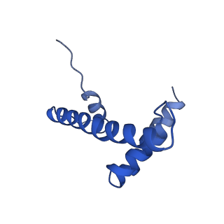 21707_6wkr_M_v1-0
PRC2-AEBP2-JARID2 bound to H2AK119ub1 nucleosome