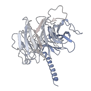 21707_6wkr_N_v1-0
PRC2-AEBP2-JARID2 bound to H2AK119ub1 nucleosome
