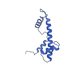 21707_6wkr_O_v1-0
PRC2-AEBP2-JARID2 bound to H2AK119ub1 nucleosome