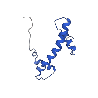 21707_6wkr_Q_v1-0
PRC2-AEBP2-JARID2 bound to H2AK119ub1 nucleosome