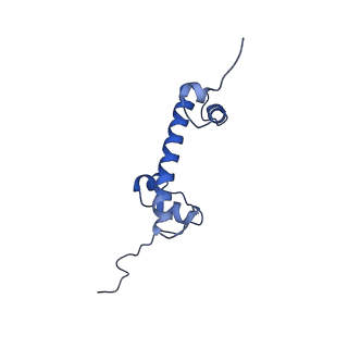 21707_6wkr_R_v1-0
PRC2-AEBP2-JARID2 bound to H2AK119ub1 nucleosome