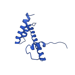 21707_6wkr_S_v1-0
PRC2-AEBP2-JARID2 bound to H2AK119ub1 nucleosome