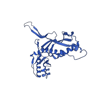 21810_6wkv_0_v1-0
Cryo-EM structure of engineered variant of the Encapsulin from Thermotoga maritima (TmE)
